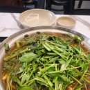 우리손칼국수 이미지