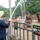 &#39;고기압 이불&#39; 덮은 한반도…최고 35도·열대야 기승 이미지