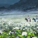 메밀꽃 필 무렵 이미지