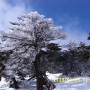 제주항연안여객터미널 이미지