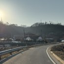 세라의 작은정원 네이버블로그