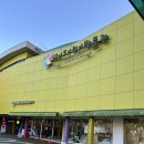 둥지박물관 | 경기도어린이박물관 주말 방문후기, 16개월 아기랑 용인 실내 가볼만한 곳