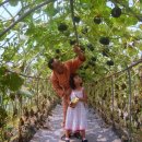 화산농원 이미지