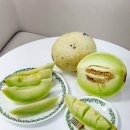 허니듀 | 팜띠크 고당도 허니듀 멜론 4.4kg 후기｜후숙·자르는 법·보관법까지 담은 과일선물세트