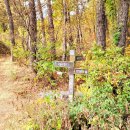 냉천할매집식당 이미지