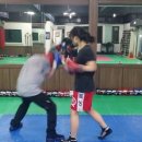 세종 홍복싱 MMA멀티짐 이미지