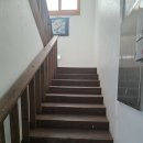 누가꽃이개 | 제주도 산방산 카페 유채꽃 바다뷰 소색채본 후기