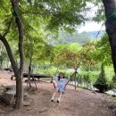 월아산 숲속의 진주(목재문화체험관) 이미지