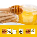 센트럴팜 이미지