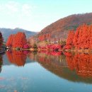 자연의 아름다움을 간직한 국내 여행지 이미지