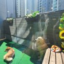 명지로16번길 이미지