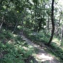 봉수산자연휴양림 이미지