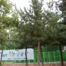 서울과학기술대학교 체육관 네이버블로그