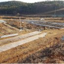 용인남사공인중개사사무소 이미지