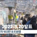 첨단방역