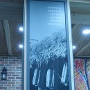 팔공산로 이미지