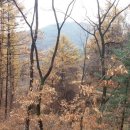 방글농장 이미지