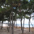 아침해변 이미지