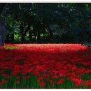 생초주유소 이미지