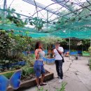 나비농장 이미지