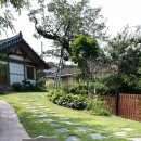 월인당 | 전라도 영암 200평 독채 애견 동반 펜션, 월인당 솔직 후기/ 페텔 예약 - 넓은 마당에서 강아지와...