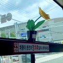 베러먼데이 명장역점 | AGOSTO 3
