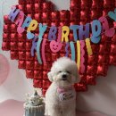 아띠라미 이미지