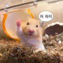 엇던