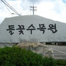 들꽃수목원 이미지