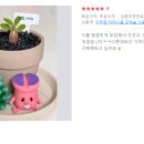 꾸리팜