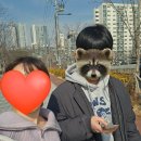 씨유김포상마리치점 | 3월 비오는 제주여행 3박4일 1-2일차 유채꽃&amp;돌고래