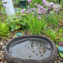 스테이 서종 이미지