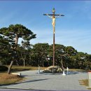 당진 가볼만한곳 솔뫼성지- 한국의 베들레헴 프란치스코 교황님 방문하신 곳/ 당진여행 이미지