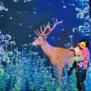 유리네 | 제주 한달살기 13개월 아기와 아이바가든, 유리네식당 방문 후기 (18일차)