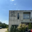 카페서천담 | 원주 행구동 카페 추천 내돈내산 원주카페 카페서천담 시그니처 살구라떼