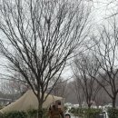 구도일주유소 파크빌 이미지