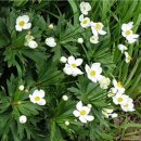 한계령의아침 이미지