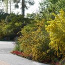 산이정원 이미지