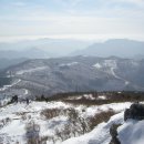 2월 정기산행 신청(태백산 비단봉) 이미지