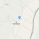 노란담장 네이버블로그
