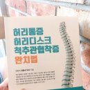 장형석한의원 | 허리디스크 수술없이 치료할 수 있습니다!《허리통증 허리디스크 척추관협착증 완치법》서평 -장형석 박사