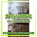 르네스화장품 이미지