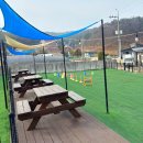 11620-21-96-5 | 안면도 해루질 펜션 : 애견동반 온수수영장 풀빌라 프리독 후기