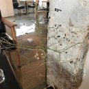 달빛 게스트하우스 이미지