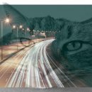 [학점은행제] 미술비평 | 학점은행제 등록금 학점은행제란?