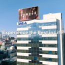 세아 카카오 검색결과