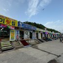 가성비 좋은 대포항대게맛집에서 부모님과 저녁식사(외옹치항 미란이네)