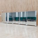 그린체육관 이미지