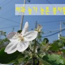 천남농장 이미지