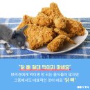 [한컷뉴스] 개가 닭뼈 먹으면 죽는다? '오해와 진실' 이미지